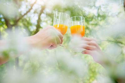 Cropped hands of women toasting juice against tree