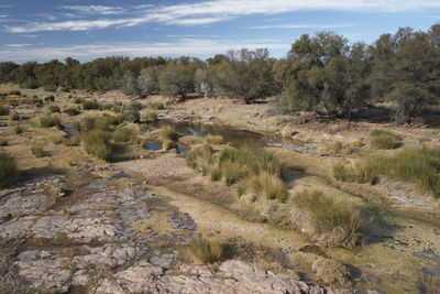 Scenic view of landscape against sky