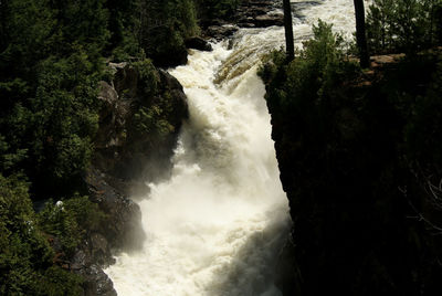 View of waterfall in forest