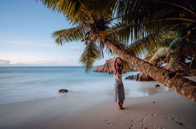 Woman standing by tree at beach