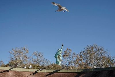 Low angle view of seagull flying against blue sky