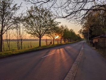 Empty road amidst bare trees against sky during sunset