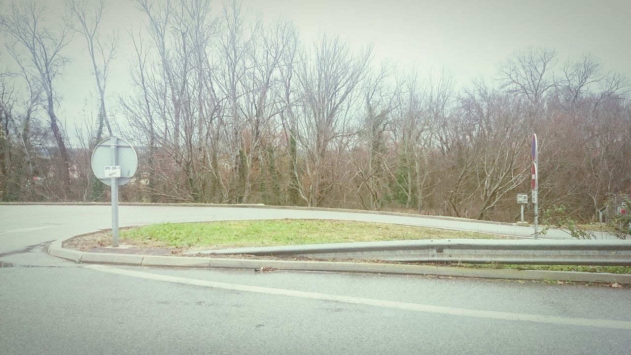 transportation, tree, road, the way forward, street, clear sky, empty, road marking, nature, empty road, street light, day, no people, outdoors, growth, tranquility, sky, car, diminishing perspective, season