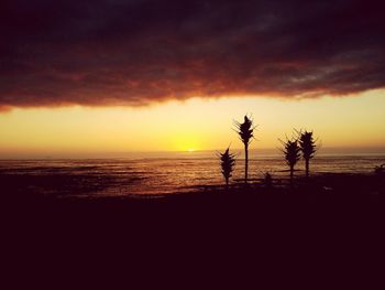 Silhouette palm trees on beach against sky during sunset