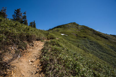 Scenic view of landscape against clear blue sky