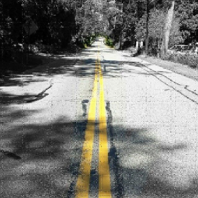 the way forward, transportation, diminishing perspective, road, tree, vanishing point, road marking, street, asphalt, empty road, yellow, empty, outdoors, day, no people, wet, long, season, surface level, nature