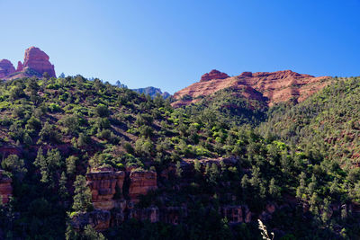 Trees and rocks in mountains against clear sky