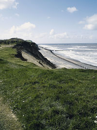 Close-up of grass by sea against sky