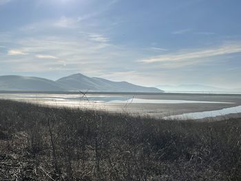 Scenic view of beach against sky