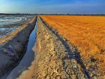 Scenic view of field against sky