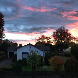 Silhouette trees and buildings against sky at sunset