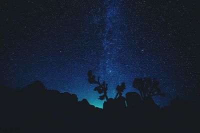 Silhouette plants against sky at night