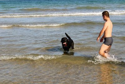 Man and dog at beach against sky