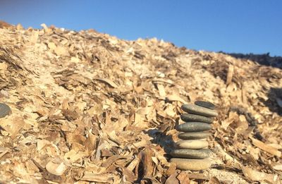 Close-up of stack of field against clear sky