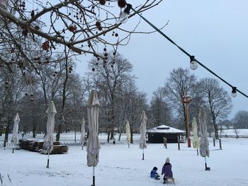 Bare trees on snow covered landscape against sky