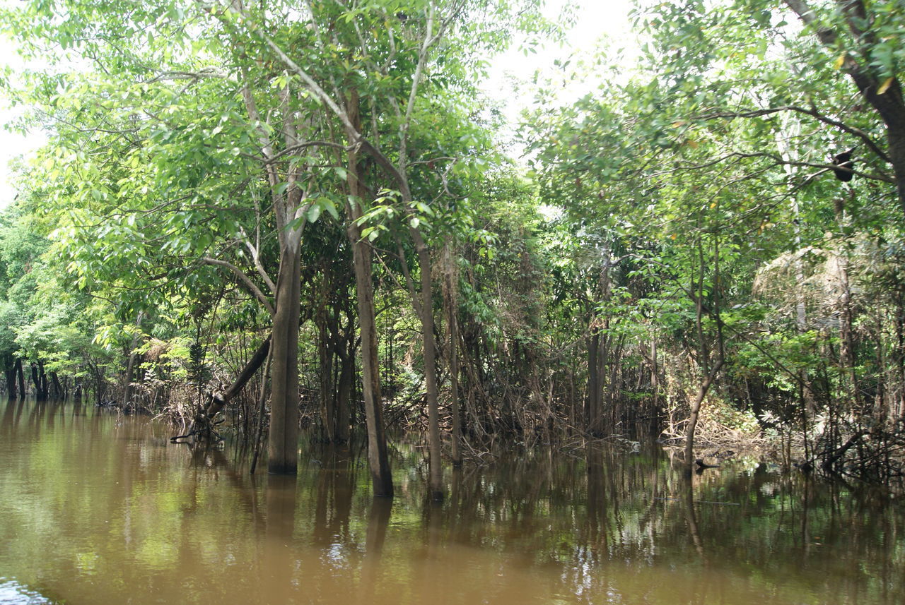 SCENIC VIEW OF LAKE