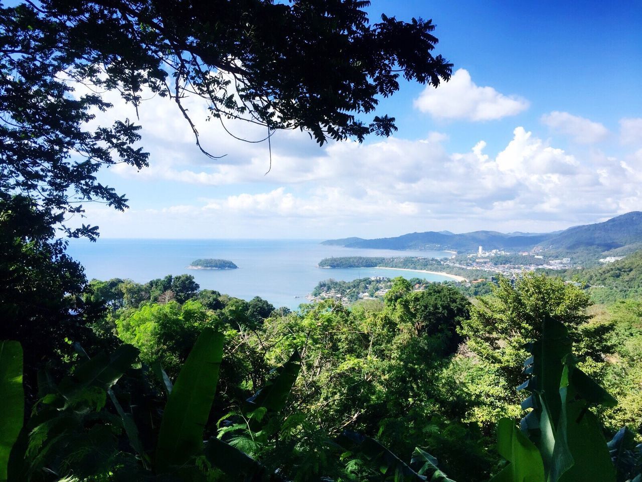 growth, sea, tree, beauty in nature, nature, sky, plant, scenics, tranquility, horizon over water, water, no people, green color, leaf, tranquil scene, outdoors, day, flower, foreground