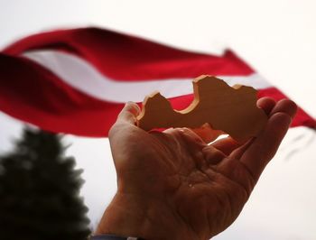 Close-up of hand holding leaf