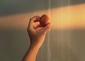 Close-up of hand holding apple