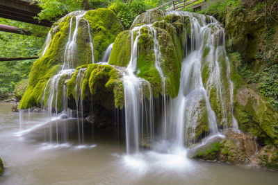 Scenic view of waterfall in forest