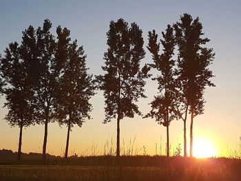 Silhouette trees on field against sky at sunset
