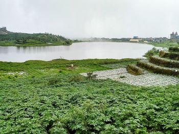 Scenic view of lake against sky