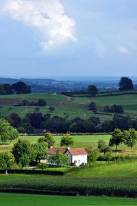 Scenic view of agricultural field against sky