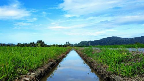 Canal amidst land against sky