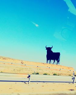 Close-up of tree against blue sky