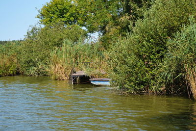 Boat moored on river by trees