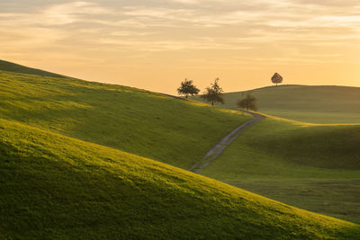 Scenic view of field against sky during sunset