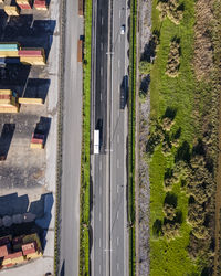 High angle view of trees