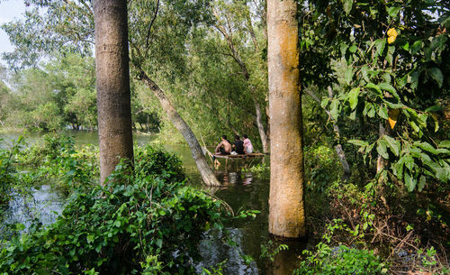 People sitting by plants in forest