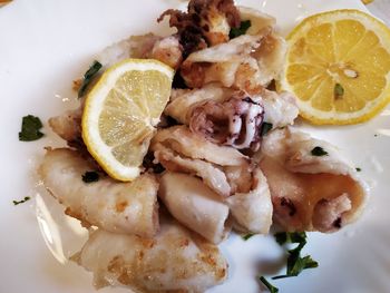 High angle view of meal served in plate