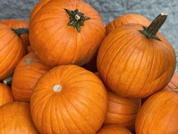 High angle view of pumpkins in market