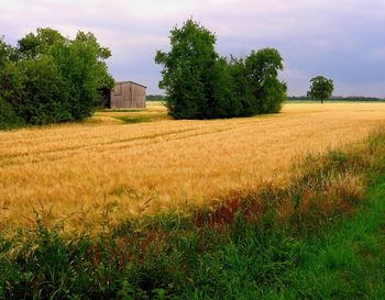 Scenic view of farm against sky