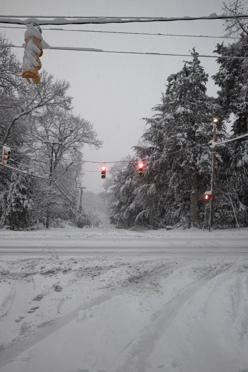 SNOW COVERED ROAD BY TREES