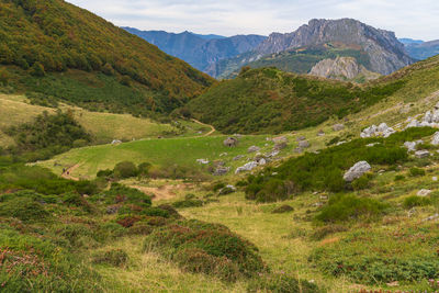 Scenic view of landscape and mountains against sky