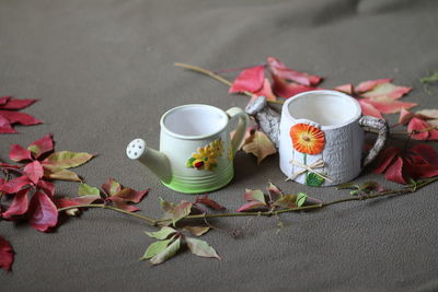 High angle view of potted plant on table