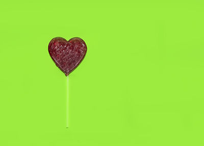 Close-up of heart shape leaf