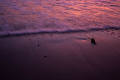 High angle view of birds on beach