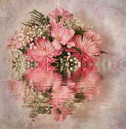 Flowers in water