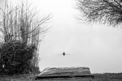 Bird flying over bare tree against sky