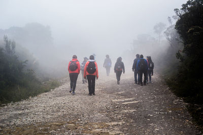 Full length of woman standing in foggy weather