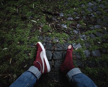 Low section of man standing on grass