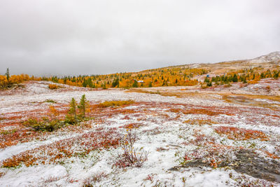 Scenic view of snow covered land against sky