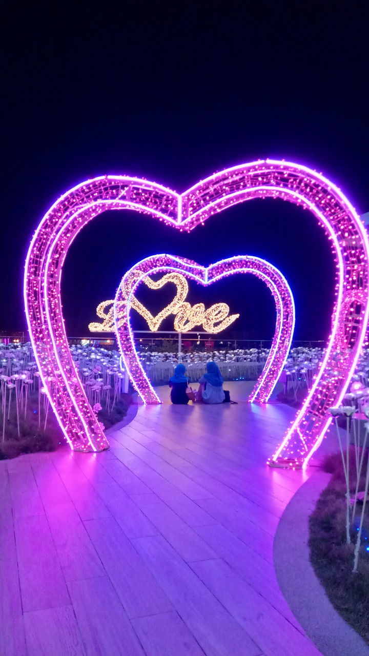 ILLUMINATED FERRIS WHEEL