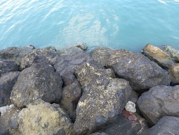 High angle view of rocks on beach