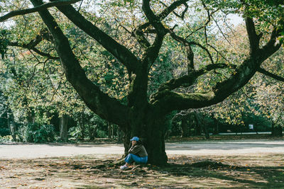 Full length of woman sitting on tree trunk