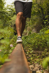 Man walking on the abandoned train track. undergrowth person